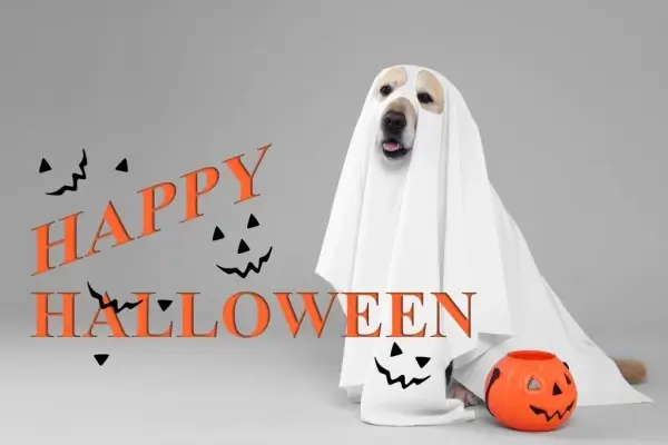 Happy Halloween from Hunter Mortgage LLC